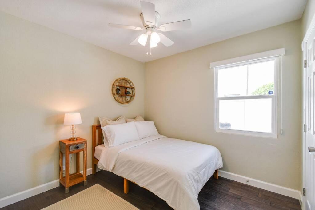 Luxury Home In The Heart Of South Tampa & Pool! Eksteriør billede