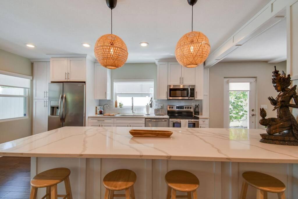 Luxury Home In The Heart Of South Tampa & Pool! Eksteriør billede